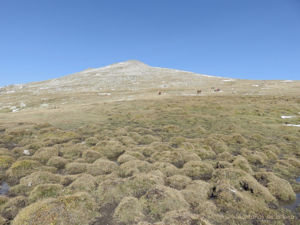 Molleres del Puigpedrós, con dicho pico en el centro